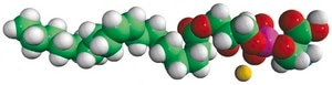 18:1 Lyso PS 1-oleoyl-2-hydroxy-sn-glycero-3-phospho-L-serine (sodium salt), chloroform