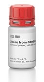 Lipase from Candida rugosa lyophilized powder, ≥40,000 units/mg protein