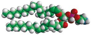 C18(Plasm)-18:1 PE Avanti Research™ - A Croda Brand