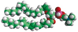 C18(Plasm)-20:4 PC 1-(1Z-octadecenyl)-2-arachidonoyl-sn-glycero-3-phosphocholine, chloroform