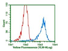 Anti-Ubiquitin Antibody, Lys48-Specific, clone Apu2, rabbit monoclonal clone Apu2, from rabbit