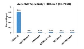 AccuChIP Trimethyl-Histone H3 (Lys36) Chromatin Immunoprecipitation Internal Control target-specific spike-in controls that make ChIP experiments more quantitative and accurate
