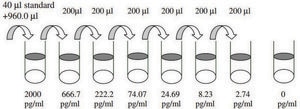 Mouse IL-1 β ELISA Kit for serum, plasma and cell culture supernatant