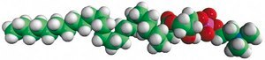 26:0 Lyso PC 1-hexacosanoyl-2-hydroxy-sn-glycero-3-phosphocholine, powder