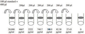 Mouse MMP-2 ELISA Kit for serum, plasma and cell culture supernatant