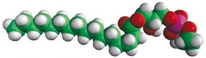 16:0 Lyso PE Avanti Research™ - A Croda Brand, powder