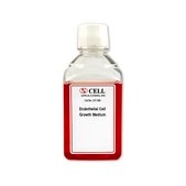 Endothelial Cell Growth Medium (500 ml)