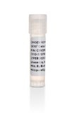 CHOZN® Elite Cell Line ELITE