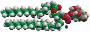 18:0 PI 1,2-distearoyl-sn-glycero-3-phosphoinositol (ammonium salt), powder