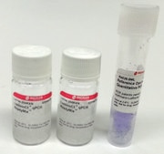 LuminoCt® qPCR ReadyMix™ For fast probe-based quantitative PCR