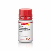 Pentamidine isethionate salt powder