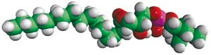 Egg Lyso PC Avanti Research™ - A Croda Brand