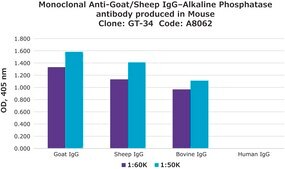 Anti-Goat/Sheep IgG−Alkaline Phosphatase antibody, Mouse monoclonal clone GT-34, purified from hybridoma cell culture