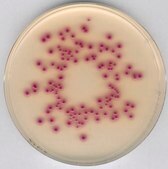 Chromocult&#174; Coliform Agar ChromoCult&#174;, according to ISO 9308, EPA, AOAC&#174;, granular, for coliforms, for Escherichia coli, pack of 500&#160;g