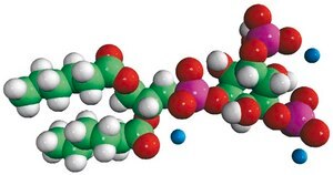 06:0 PI(3,5)P2 Avanti Research™ - A Croda Brand