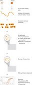 Magna ChIP&#174; HT96 Chromatin Immunoprecipitation Kit The Magna ChIP HT96 kit allows the performance of chromatin Immunoprecipitation in a 96-well plate-based format.