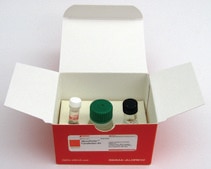 NeuroPorter™ Transfection Kit Lipid formulation for nucleic acid transfections in neuronal and glial cells