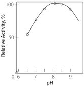 Choline Oxidase from Alcaligenes sp. lyophilized powder, ≥10 units/mg solid