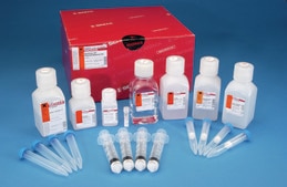 GenElute™ HP Plasmid Maxiprep Kit sufficient for 25 purifications