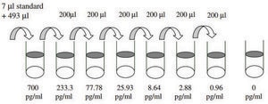 Human Decorin ELISA Kit for serum, plasma, cell culture supernatant and urine