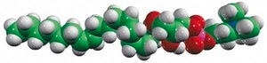 17:1 Lyso PC 1-(10Z-heptadecenoyl)-2-hydroxy-sn-glycero-3-phosphocholine, chloroform