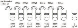 Human BMP-4 ELISA Kit for serum, plasma, cell culture supernatant and urine
