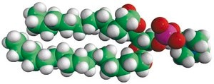 14:0-18:0 PC 1-myristoyl-2-stearoyl-sn-glycero-3-phosphocholine, chloroform