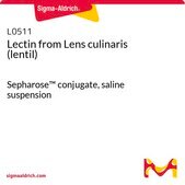 Lectin from Lens culinaris (lentil) Sepharose™ conjugate, saline suspension