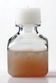 Silver nanospheres 200 nm avg. part. size, 0.02 mg/mL in water, BPEI functionalized