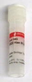 pBR322 Hae III Digest for DNA electrophoresis