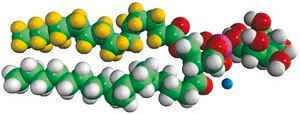 16:0-d31-18:1 PI 1-palmitoyl-d31-2-oleoyl-sn-glycero-3-phosphoinositol (ammonium salt), powder