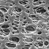 PES Membrane Filter, 0.45 μm Pore Size Millipore Express®, filter diam. 13 mm, hydrophilic