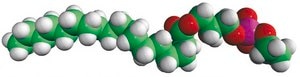 18:0 Lyso PE 1-Stearoyl-2-Hydroxy-sn-Glycero-3-Phosphoethanolamine, powder