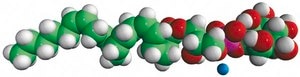 20:4 Lyso PI 1-arachidonoyl-2-hydroxy-sn-glycero-3-phosphoinositol (ammonium salt), powder