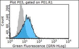 Anti-Integrin β4 Antibody, clone ASC-8 clone ASC-8, Chemicon®, from mouse