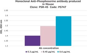Anti-Phosphoserine antibody, Mouse Monoclonal clone PSR-45, purified from hybridoma cell culture