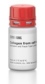 コラーゲン from calf skin Bornstein and Traub Type I, solid, BioReagent, suitable for cell culture