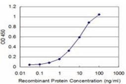 Monoclonal Anti-PIK3CA antibody produced in mouse clone 3G3, purified immunoglobulin, buffered aqueous solution