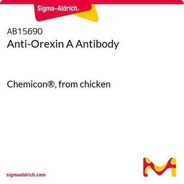 Anti-Orexin A Antibody Chemicon®, from chicken