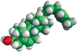 desmosterol Avanti Research™ - A Croda Brand