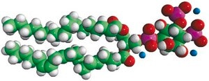 Brain PI(4,5)P2 Avanti Research™ - A Croda Brand
