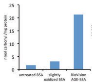 Protein Carbonyl Content Assay Kit sufficient for 100 colorimetric&nbsp;tests