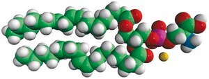 18:2 PS 1,2-dilinoleoyl-sn-glycero-3-phospho-L-serine (sodium salt), powder
