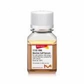 Bovine Calf Serum USA origin, for cell culture, sterile-filtered, suitable for cell culture