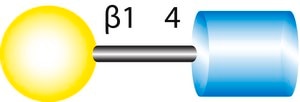 N-Acetyl-D-lactosamine ≥98% (TLC)
