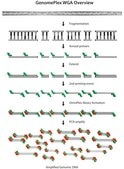 GenomePlex® Whole Genome Amplification (WGA) Kit Kit for whole genome amplification from a variety of DNA sources including FFPE tissue