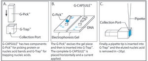 G-CAPSULE™ electroelution device