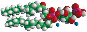 18:1 PI(4)P Avanti Research™ - A Croda Brand 850151P, powder