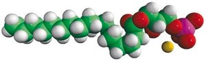 17:0 Lyso PA 1-heptadecanoyl-2-hydroxy-sn-glycero-3-phosphate (sodium salt), powder