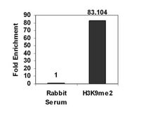 ChiPAb+ dimetil-histona H3 (Lys9): Conjunto de anticuerpo y cebador validado para CHIP serum, from rabbit